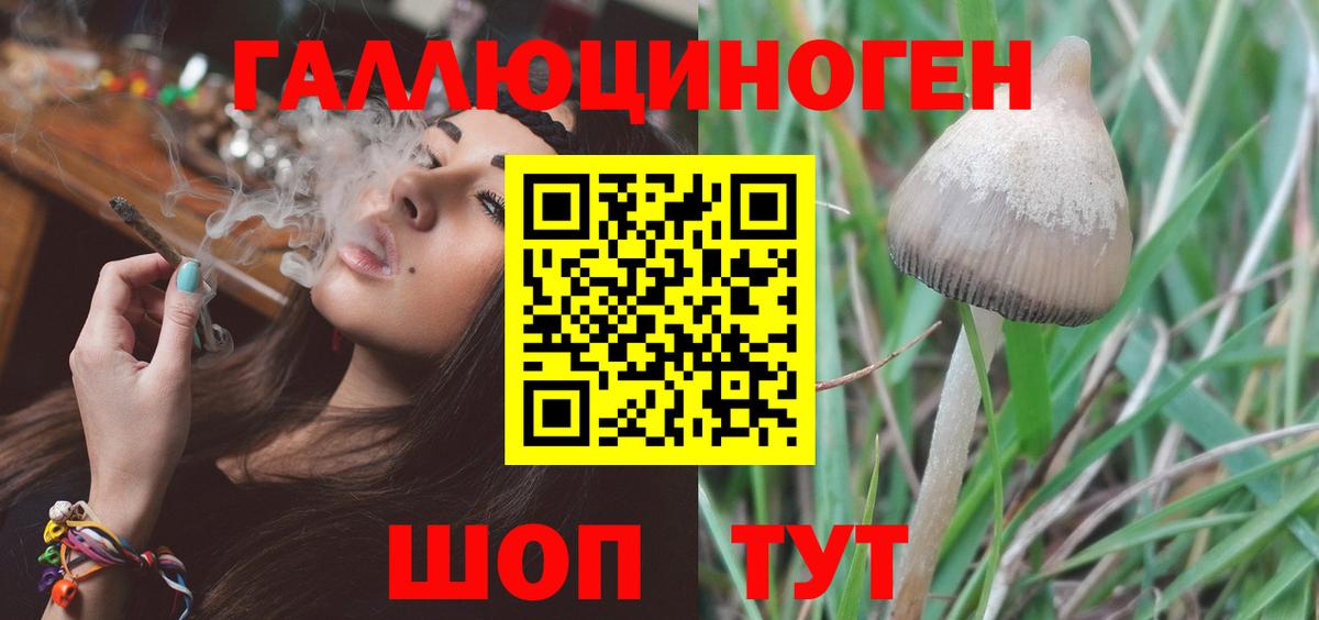 Галлюциногенные грибы мухоморы Симферополь
